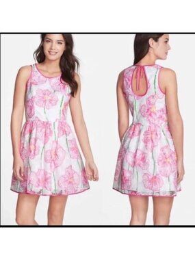 Lilly Pulitzer Darcelle Floral Embroidered Fit And Flare Dress sz 4
